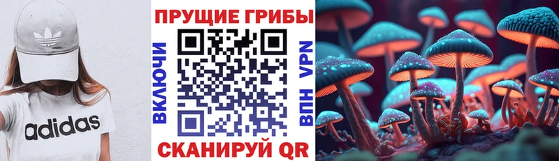 где продают наркотики Рудня Псилоцибиновые грибы мухоморы